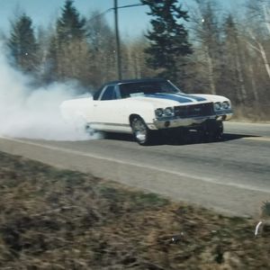 Meet your Posher, Wade